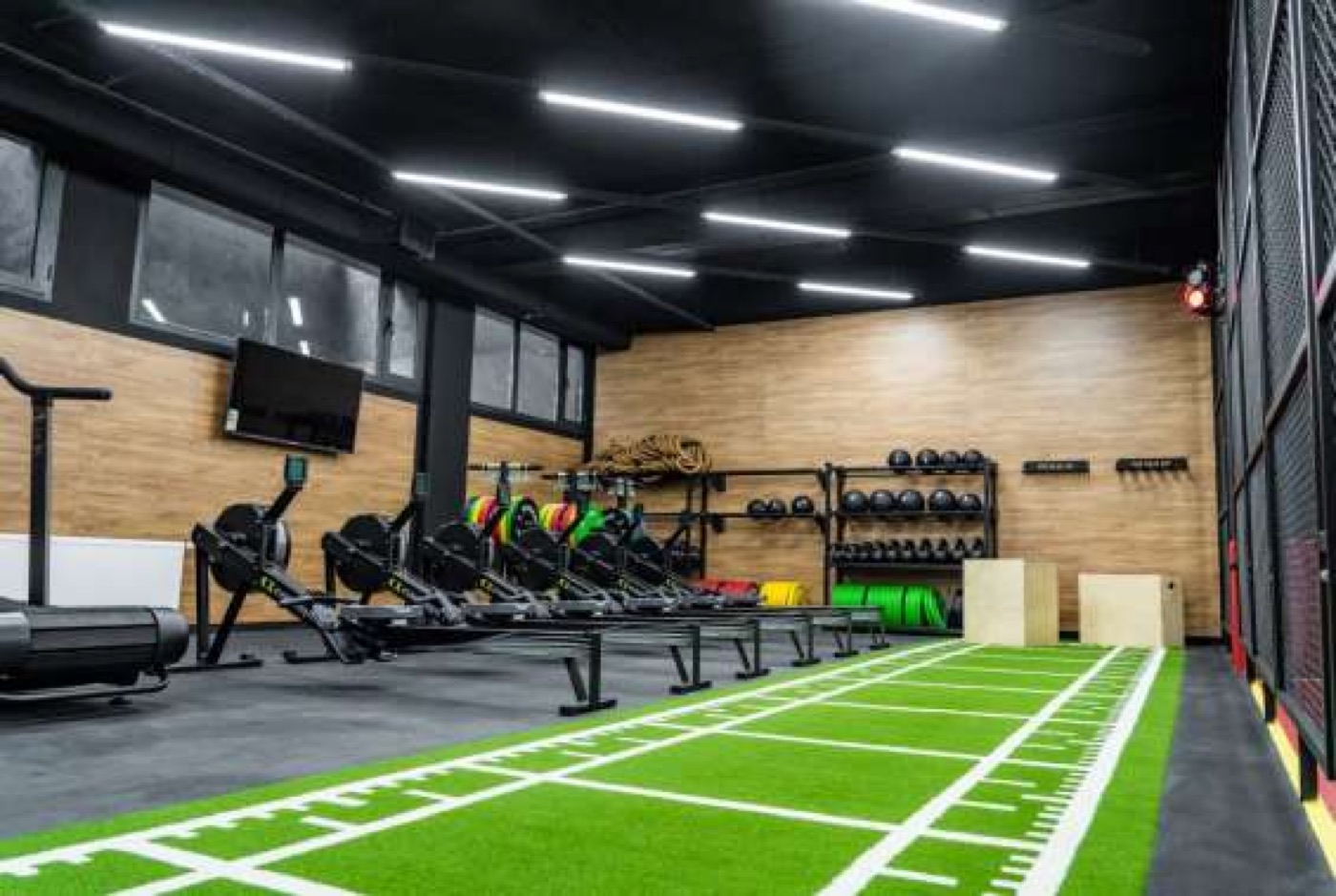 Modern Gym