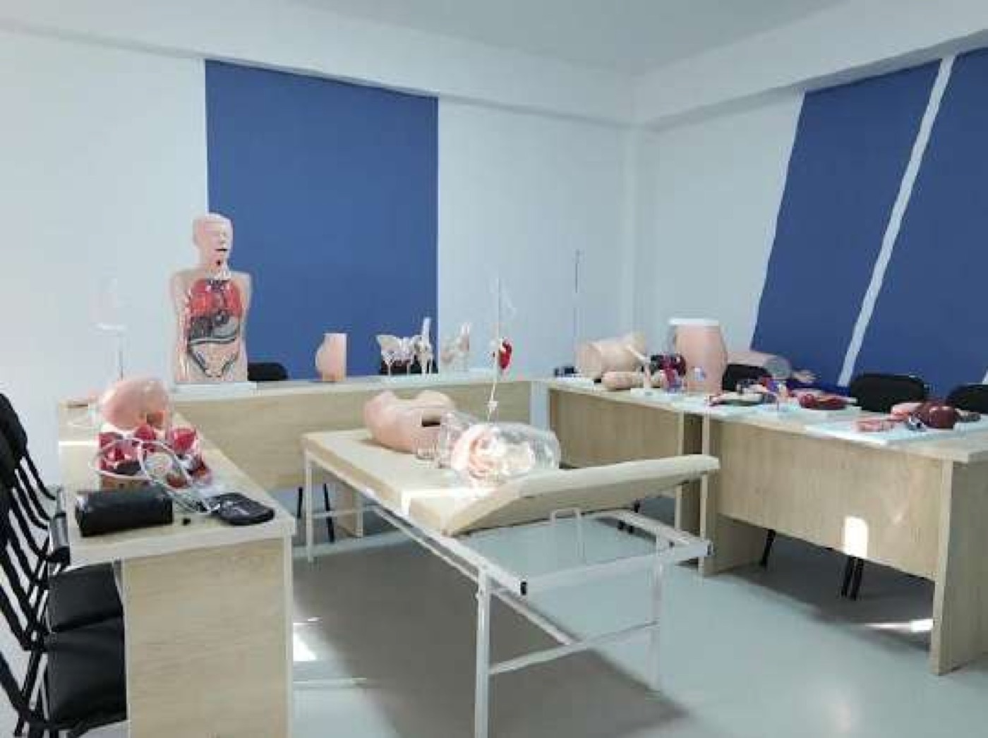Anatomy Practice Lab